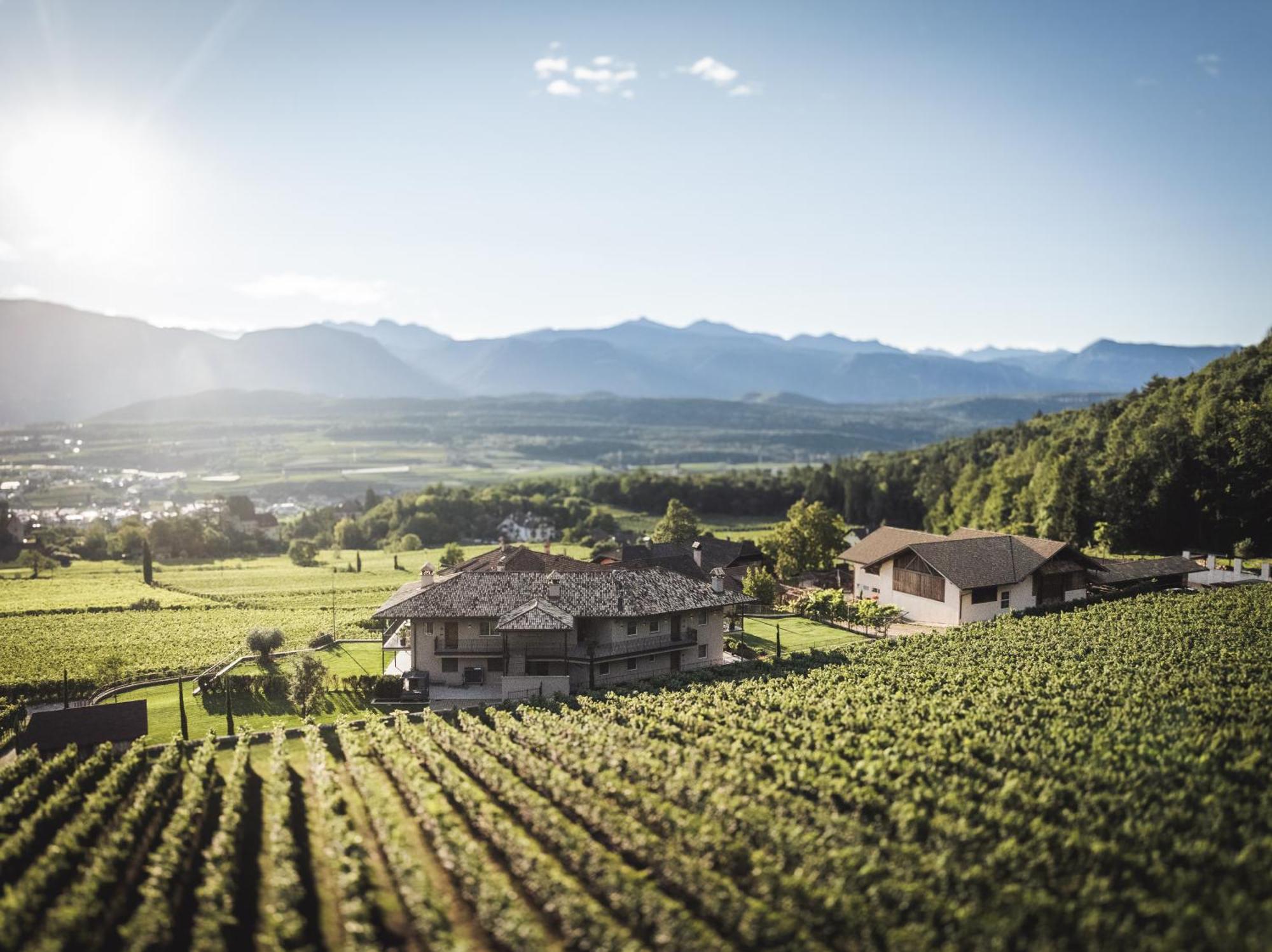 Nofnerhof Leilighet Appiano Sulla Strada Del Vino Eksteriør bilde