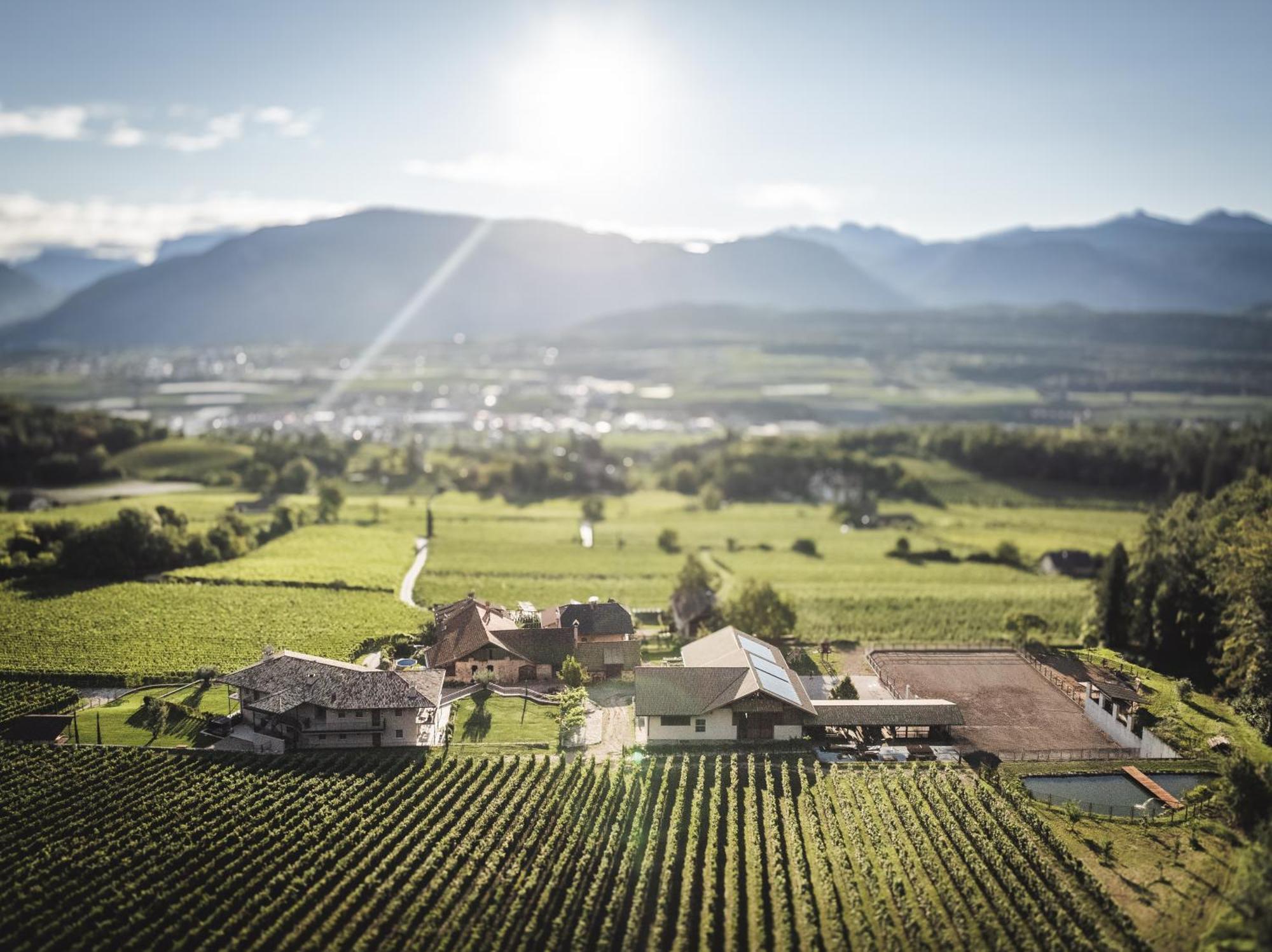 Nofnerhof Leilighet Appiano Sulla Strada Del Vino Eksteriør bilde
