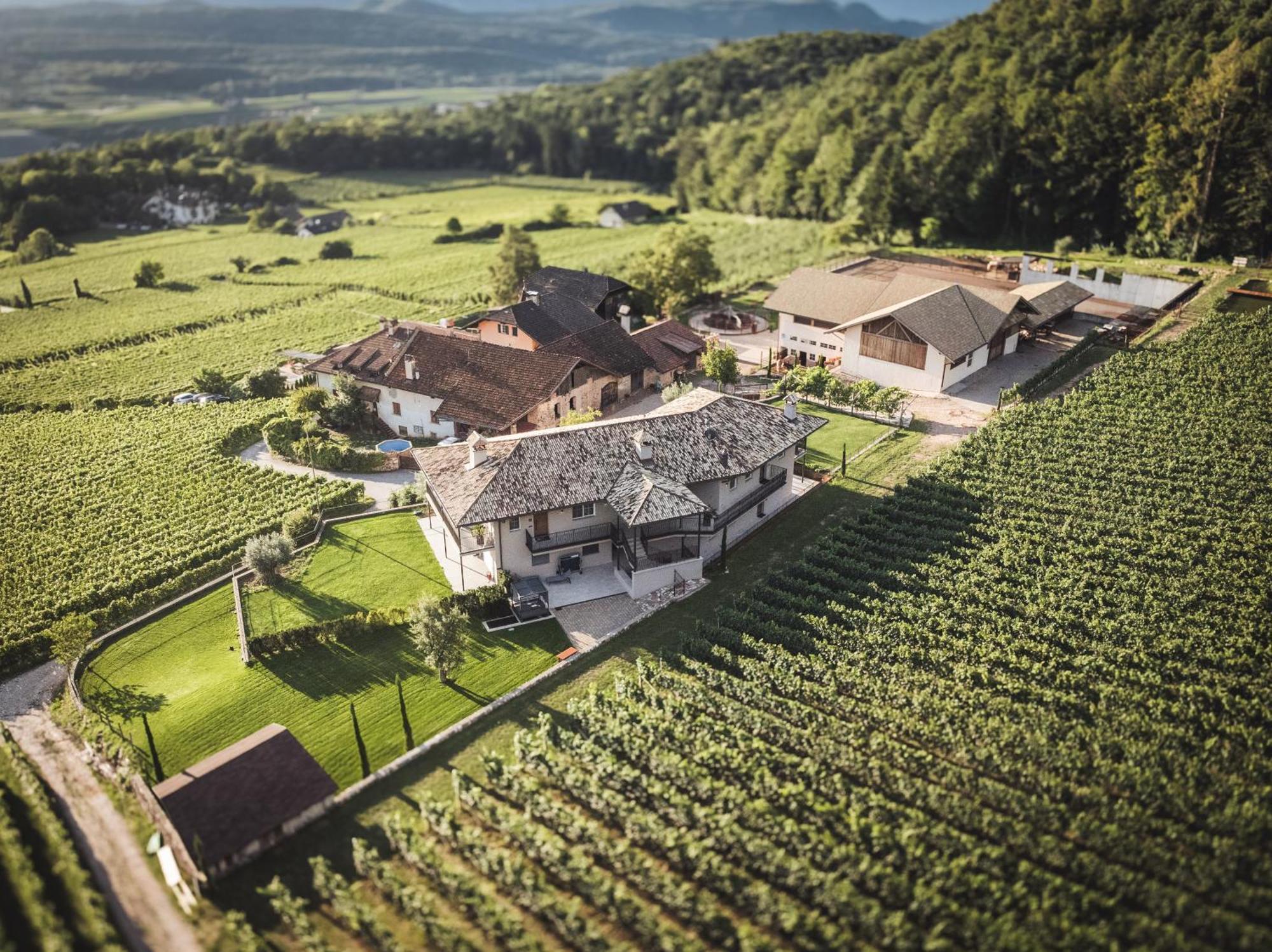 Nofnerhof Leilighet Appiano Sulla Strada Del Vino Eksteriør bilde