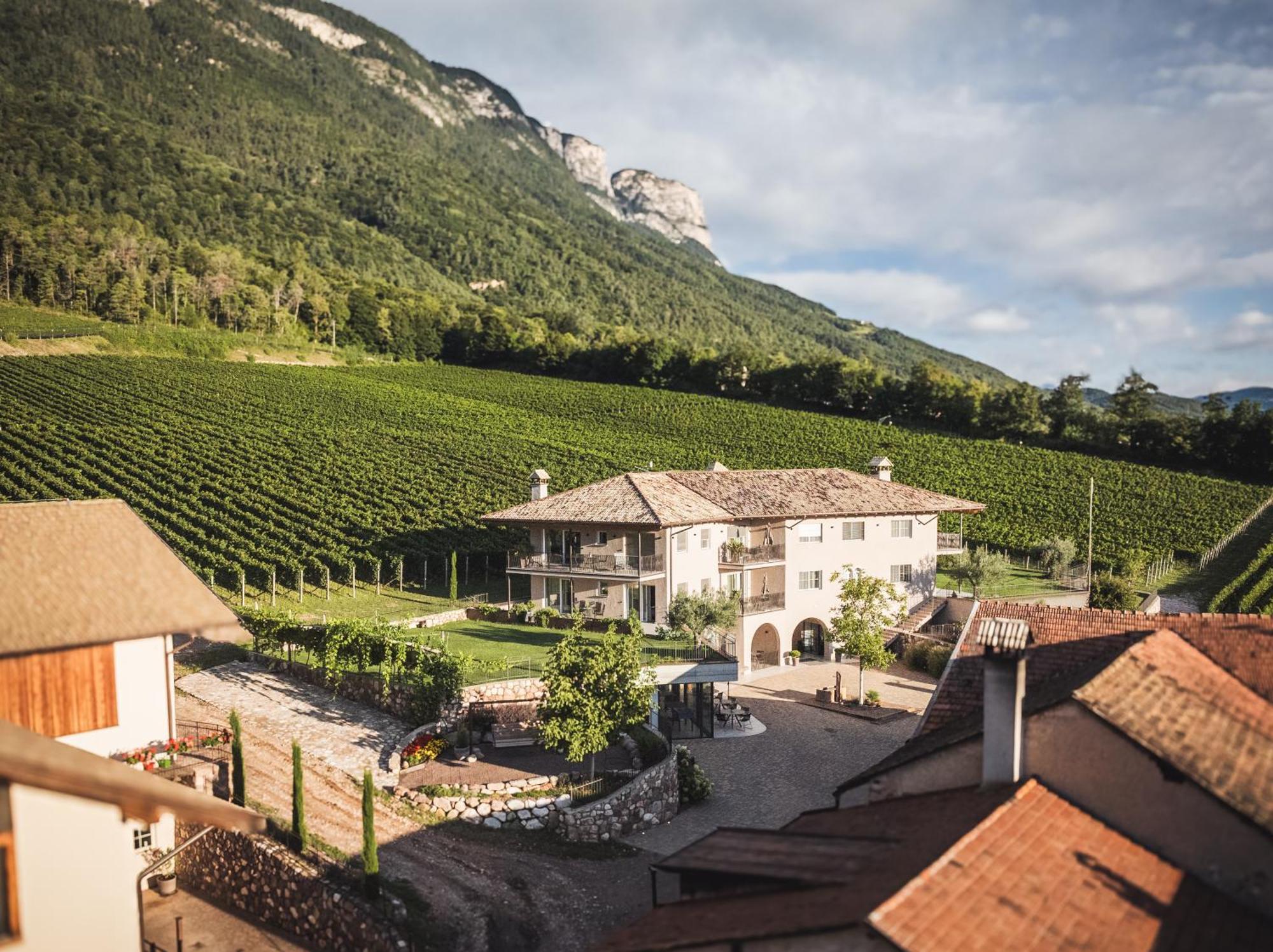 Nofnerhof Leilighet Appiano Sulla Strada Del Vino Eksteriør bilde